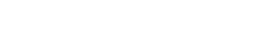 Vigilance Business Systems